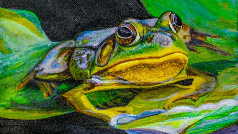 Jacqueline Cadzow Designs website redesign – a colorful and striking painting of a green frog lazing on lily pads in a pond. An inspiring artist website design case study by Spine & Leaf Media