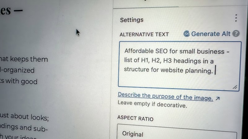 Affordable SEO for small business - the field in WordPress where you input alt text